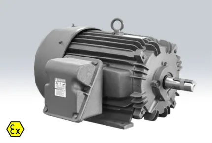 Explosion Proof Induction Motors D71–D450 1